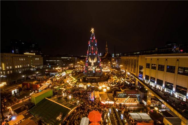 Видео: в Германии зажгли самую большую рождественскую елку в мире