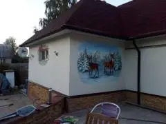 Роспись стен в интерьере, на фасаде дома, роспись мебели и аксессуаров, создание картин на заказ