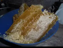 Продаю натуральный мёд на развес оптом
