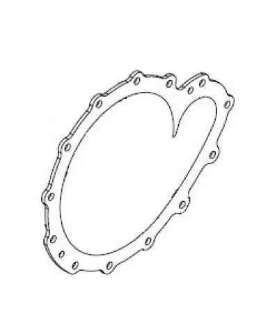 Flat gasket