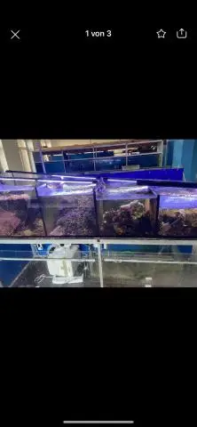 Распродажа аквариумов, в связи с закрытием магазина