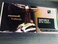 Nvidia gtx 1080ti 11gb manli gallardo