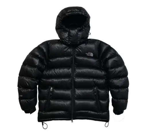 The north face 700 pertex quantum down jacket