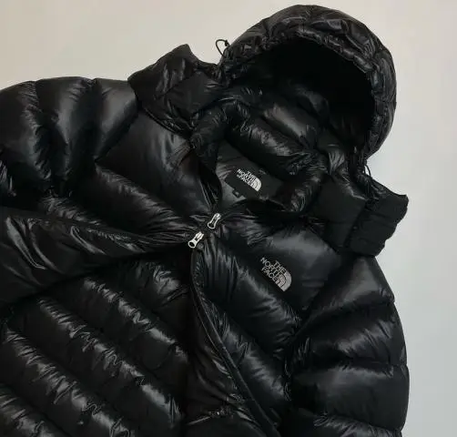 The north face 700 pertex quantum down jacket