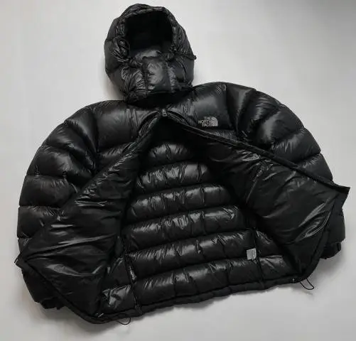 The north face 700 pertex quantum down jacket