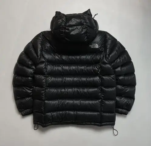 The north face 700 pertex quantum down jacket