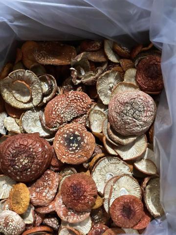 Предлагаем сушеные шляпки красного мухомора(amanita muscaria)