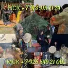 Приворот снятие порчи обучение