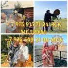 Любовный приворот любовная магия гадание расклад