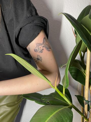 Тату хемниц