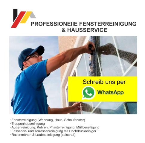 Professionelle fensterreinigung