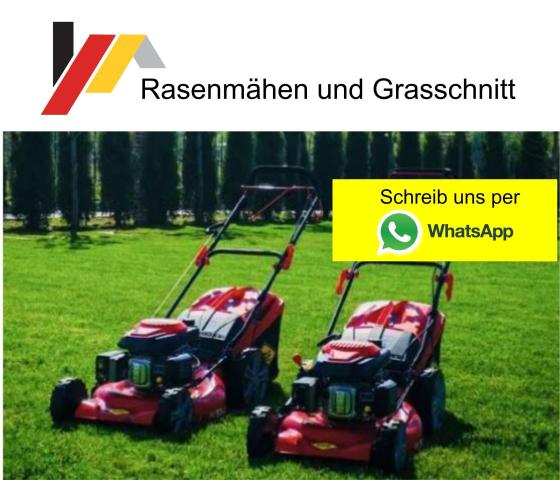 Professioneller rasenschnitt